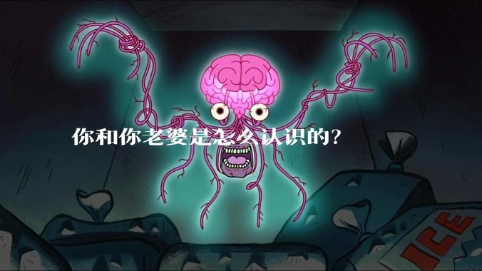 你和你老婆是怎么认识的？