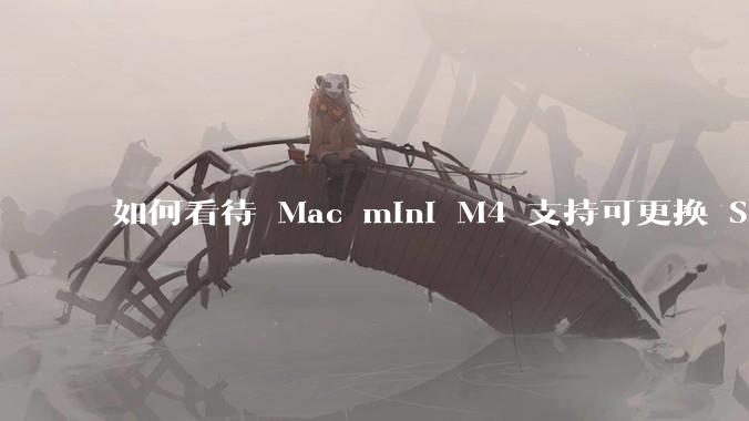 如何看待 Mac mini M4 支持可更换 SSD？