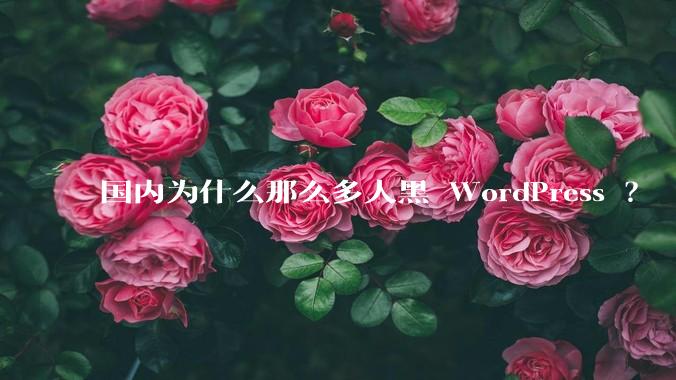 国内为什么那么多人黑 WordPress ？