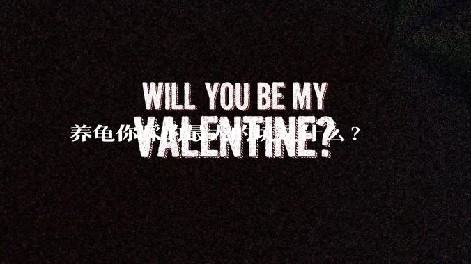 养龟你踩的最大的坑是什么?