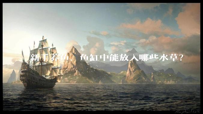 新手养鱼，鱼缸中能放入哪些水草？