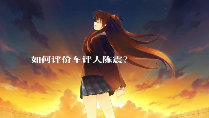 如何评价车评人陈震？