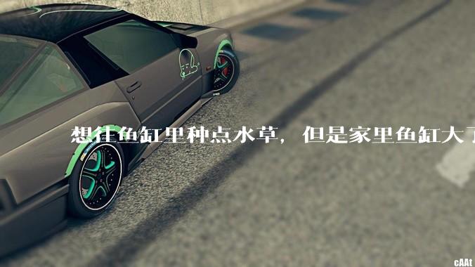 想往鱼缸里种点水草，但是家里鱼缸大了买水草泥或者底砂太贵了，有没有生活中可以替代的物品或其他建议？