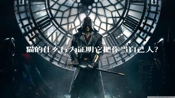 猫的什么行为证明它把你当自己人？