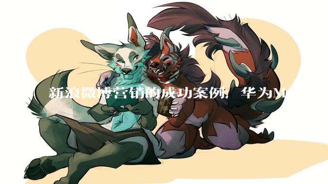 新浪微博营销的成功案例：华为Mate30系列新品发布会 - *