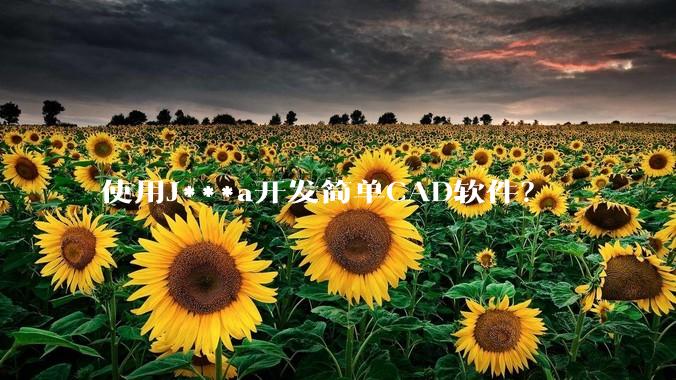 使用J***a开发简单CAD软件？