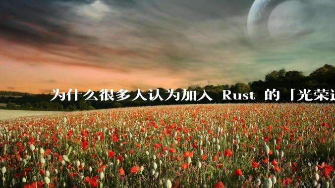 为什么很多人认为加入 Rust 的「光荣进化」是一件坏事？