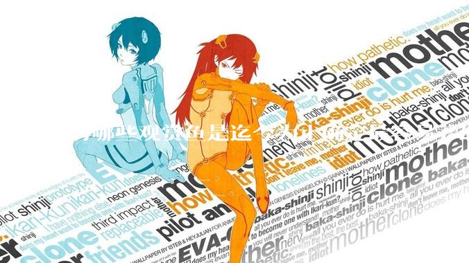 有哪些观赏鱼是迄今为止确定最容易养最不容易死的？