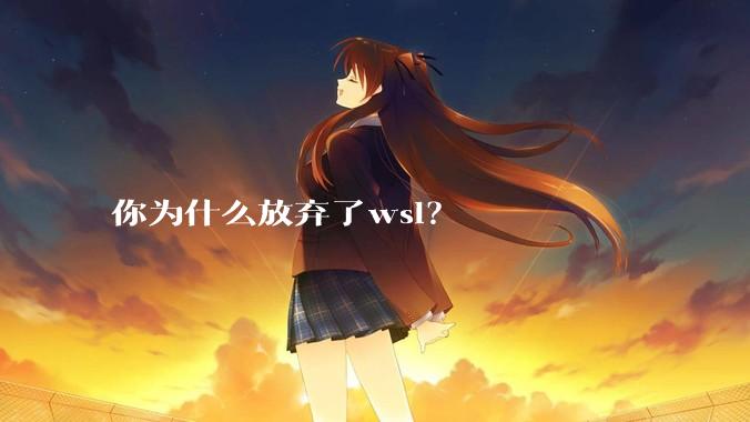 你为什么放弃了wsl？