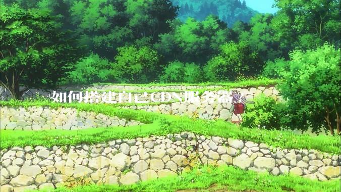 如何搭建自己CDN服务器?