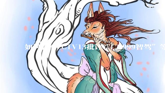 如何看待CCTV13批评“L2.999智驾”等误导性宣传，若导致事故车企可能需要担责？