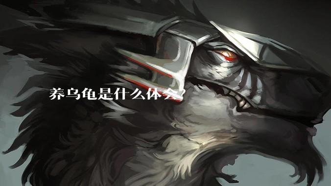 养乌龟是什么体会？