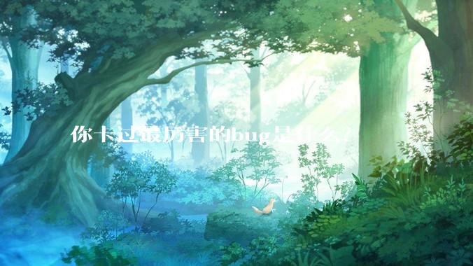 你卡过最厉害的bug是什么？